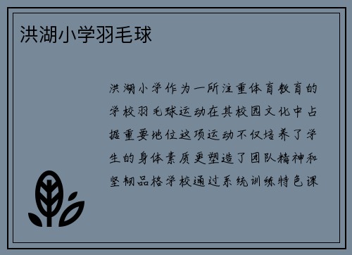 洪湖小学羽毛球